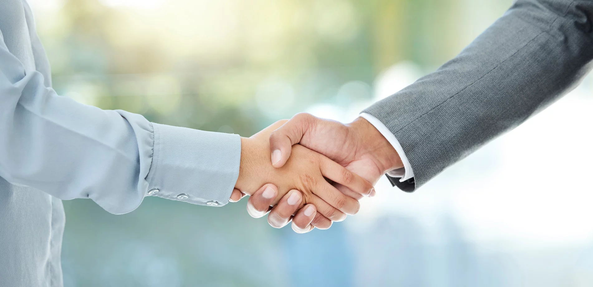 İnsan Kaynakları ve İstihdam Danışmanlığı Resim